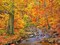 Beech forest in autumn, Ilse Valley, Germany Poster Print by Frank Krahmer - Item # VARPDX3FK3173
